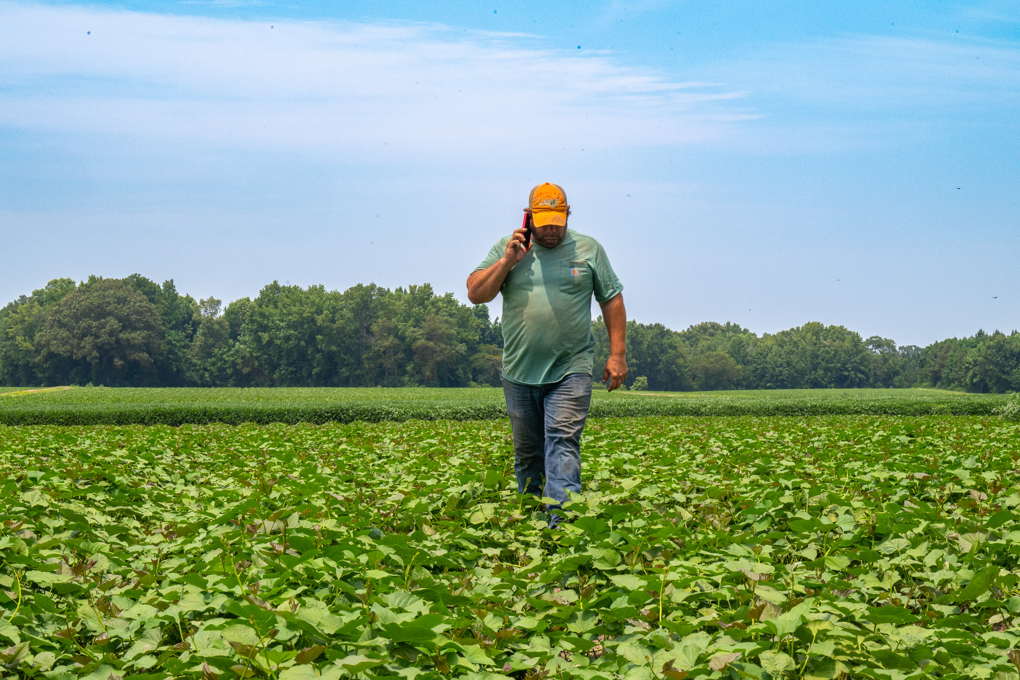 Mid-State Produce LLC photo